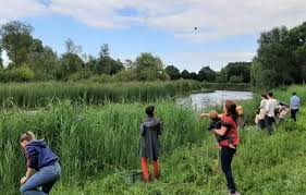 Wie effektiv sind Effektive Mikroorganismen? Ergebnisse eines Projekts des  EM-Vereins Schweiz