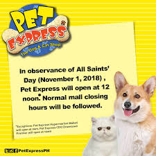 I have never been such a happy customer with the ark, even before i got my puppy beaut i was offered so much advice and help from eventually i got hold of pet express on a different number from the one they publish they blame the courier dpd who say they have never received the. Petexpress Impawtant Announcement Pet Express Will Open Facebook