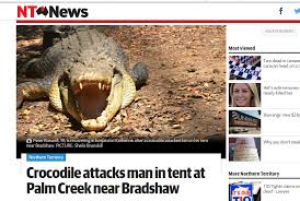 More crocodiles in the nt. Becoming Croc Bait At Bitter Springs Travelling The World Solo