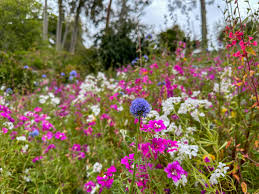 Botany Brown Bag with Dr. Kate Eisen