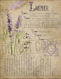 Magic Plant Knowledge Has A Long History And Has A Place In The Modern Witches Book Of Shadows Book Of Shadows Page Magic Herbs Magick Potions Book Of Shadows