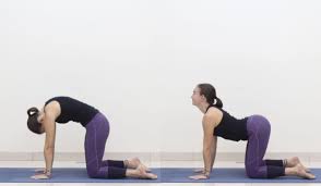 Check spelling or type a new query. Yoga Poses For Anxiety Free Anxiety Reducing Yoga Pdf The Remote Yogi