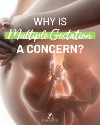 Image result for Multiple Gestation