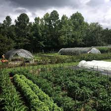 Pin On On The Farm