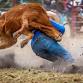 California Circuit Finals Rodeo event in Red Bluff, CA