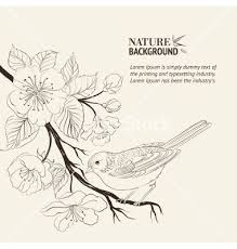Hand Drawn Simple Bird On Branch Drawing Hand Drawn Bird On Sacura Branch Vector Image On Bird Drawings How To Draw Hands Branch Vector