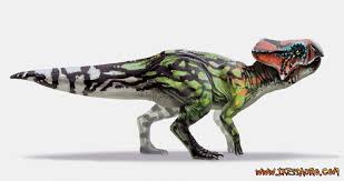 Image result for Micractis