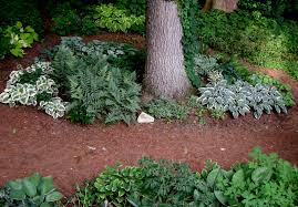We did not find results for: Theme Gardens Part 1 Silver And Blue Carolyn S Shade Gardens