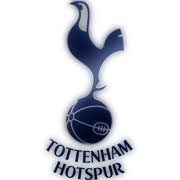 축구인이라면 누구나 꿈꾸는 세계 최고. í† íŠ¸ë„˜ í•«ìŠ¤í¼ Tottenham Hotspur Fc ì´ì  í˜„í™© 19 08 10 ìµœì¢…