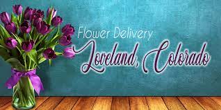 Come in and see for yourself or call, and we'll send flowers to your loved ones on your. The 8 Best Options For Flower Delivery In Loveland Co 2021