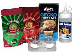 They can be fed a staple diet of commercial food, along with crickets and mashed fruit as long as their nutritional needs are met. Kit Crested Gecko Feeding Kit Pangea Reptile