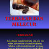 Allah merakamkan peristiwa kekalahan ahli sihir firaun di zaman nabi musa. Https Encrypted Tbn0 Gstatic Com Images Q Tbn And9gcqdx3mh D Wghljj7ze51t6c8bayvgv4nrmjcuv6yevynmk3tnz Usqp Cau