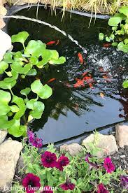 If these pollutants are allowed to accumulate over time they will become harmful to your fish and produce green unsightly water. Keeping Pond Water Clean And Clear Without Chemicals Exquisitely Unremarkable
