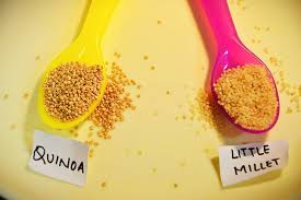 Quinoa, you must know their usage. Millet Vs Quinoa Are They Same Wellness Munch