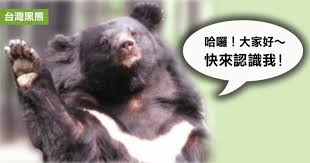 The site owner hides the web page description. ä¿è‚² å°ç£é»'ç†Šå°å¸¸è­˜ å¥è¡Œç­†è¨˜