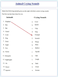 Simple Practise Sheet On Crying Sounds Part 2 1st Grade Worksheets 2nd Grade Worksheets Printable English Worksheets