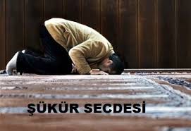 Tilavet secdesi yapmadan önce normal vakit namazına hazırlanır şekilde hazırlık yapılması, abdest alınmalı ve necaset kurallarına dikkat etmelidir. Sukur Secdesi Nedir Sukur Secdesi Nasil Yapilir
