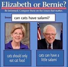 Maybe you would like to learn more about one of these? Mike Casca On Twitter We Re Too Busy Dealing With Fact Checks About Whether Cats Can Have A Little Salami Or Not Https T Co Xfjvhidxdr