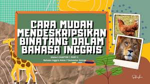 Semoga dapat menjadi referensi belajar untuk anda semua. Cara Mudah Mendeskripsikan Binatang Dalam Bahasa Inggris Youtube