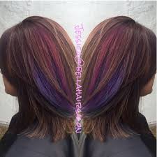 Jun 22 2018 explore lisa1973 s board purple. Brown With Purple And Pink Peekaboos Underlights Hair Peekaboo Hair Brown Hair With Highlights