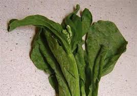 Contextual translation of kale vegetable what the name in malay into malay. Food Feedback He Wants To See Kale In Malaysia Pittsburgh Post Gazette