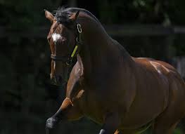 Hannah zuki nude no return visit from me based on what I