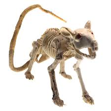 Compre Pdto Halloween Rat Skeleton Bones Simulation Horror Props Haunted House Decoration Barato Frete Gratis Avaliacoes Reais Com Fotos Joom