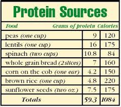 Is Having Too Much Protein Bad Healthy Eating Recipes