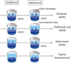 Польза и вред метилфенидата у детей и. Symptoms In Individuals With Adult Onset Adhd Are Masked During Childhood Springerlink