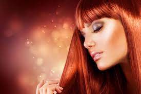 Beauty salon/parlour / hair salon/hair salons. Carmen S European Hair Design German Hairstylist