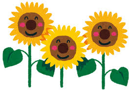 ヒマワリのイラスト「向日葵三兄弟」 | かわいいフリー素材集 いらすとや