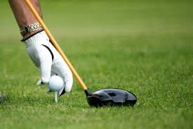 B&b owners take turns to stay with each other as they compete to be crowned best hosts. Akhuratha Poster Sports Golf Golf Club Golf Ball Tee Hand Glove Hd Wallpaper Background Fine Art Print Sports Posters In India Buy Art Film Design Movie Music Nature And Educational