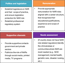Nurses In Advanced Roles As A Strategy For Equitable Access To Healthcare  In The Who Western Pacific Region: A Mixed Methods Study | Human Resources  For Health | Full Text