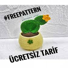 Amigurumi Turkiye 4 1 Kaktus Tarifi Amigurumi Kaktus Saksida Cicekler