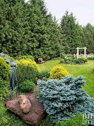 Image result for evergreen trees