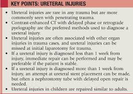 Image result for Genitourinary Trauma