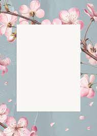 Rectangular Pink Cherry Blossom Flower Bouquet Border Frame On Blue Gray Background Free Image Flower Graphic Flower Graphic Design Flower Background Design
