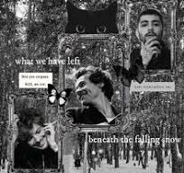 looking for a fic that will make you fall in love and then ...