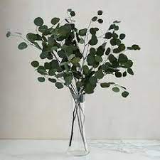Eucalyptus Bundle Silver Dollar Westelm Planting Flowers Dried Eucalyptus Faux Plants