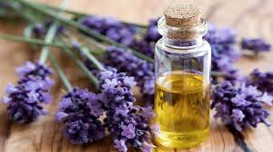 Μεταξύ άλλων, ενισχύουν την παραγωγή κολλαγόνου, καταπολεμούν τις φλεγμονές και προωθούν την ανάπλαση. Ti Einai Ta Ai8eria Elaia Jolie Wellness Clinic Abh Medical Group