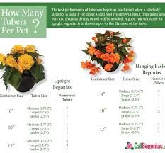Pin On Gardening