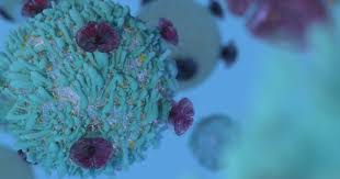 Unveiling a Promising Path: Leveraging ANGLE Technology for Precision in Head and Neck Cancer Treatment