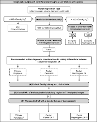 Diagnostic Approach To A Patient With Suspected Diabetes