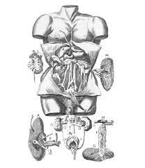 Coloring page (march 2015 friend) a boy and girl enjoying god's beautiful creations. Download Free Coloring Books From 113 Museums Open Culture