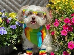 Bryan Nieman's Instagram, Twitter & Facebook