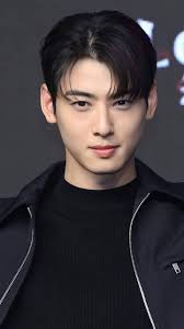 How would you feel if you met Cha Eun-woo in person?