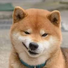 Cập nhật tin tức mới nhất về bí mật showbiz, thông tin đời tư nghệ sĩ, chuyện hậu trường giải trí và tin hot sao việt và thế giới nhanh chóng và chính xác. Cáº­u Vang Kitv60832782 Twitter