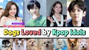 Kpop Idols Pets All About Kpop Stars Super Cute Dogs Youtube