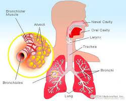 Pulmonary Edema (Fluid In Lungs): Treatment, Causes, Complications