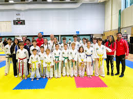 Wantage's Vale Taekwondo wins 32 medals at London Championships in  Guildford